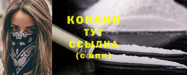 соль ск Богданович
