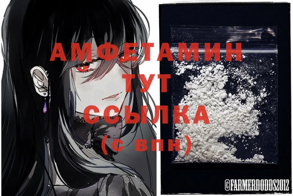 стафф Бородино