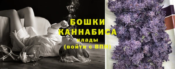стафф Бронницы