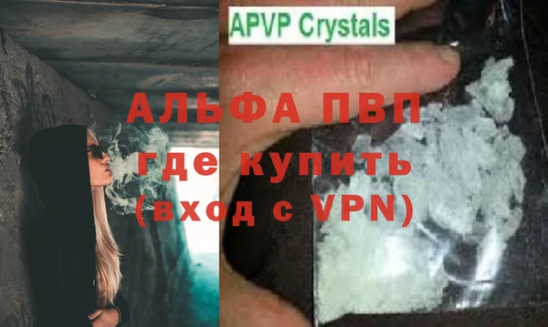 стафф Бородино