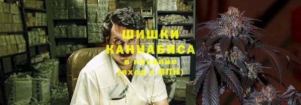 стафф Бронницы