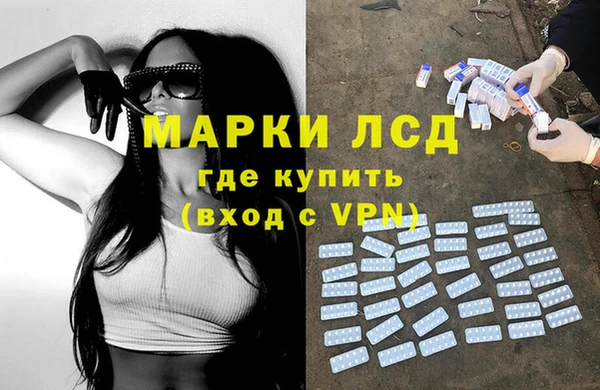 стафф Бородино
